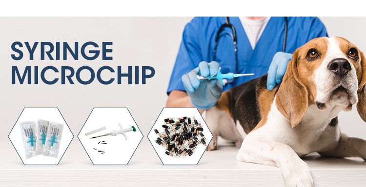 Animal Syringe Animal Syringe